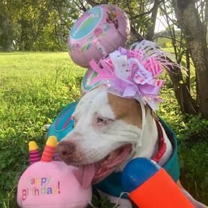 Meet your Posher, Kamilouie